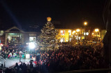 Oakville residents gather to celebrate Christmas tree lighting ceremony