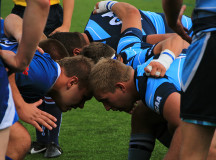 Bears face off in a scrum 