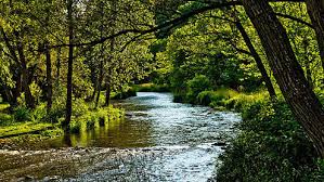 Bronte Creek Provincial Park