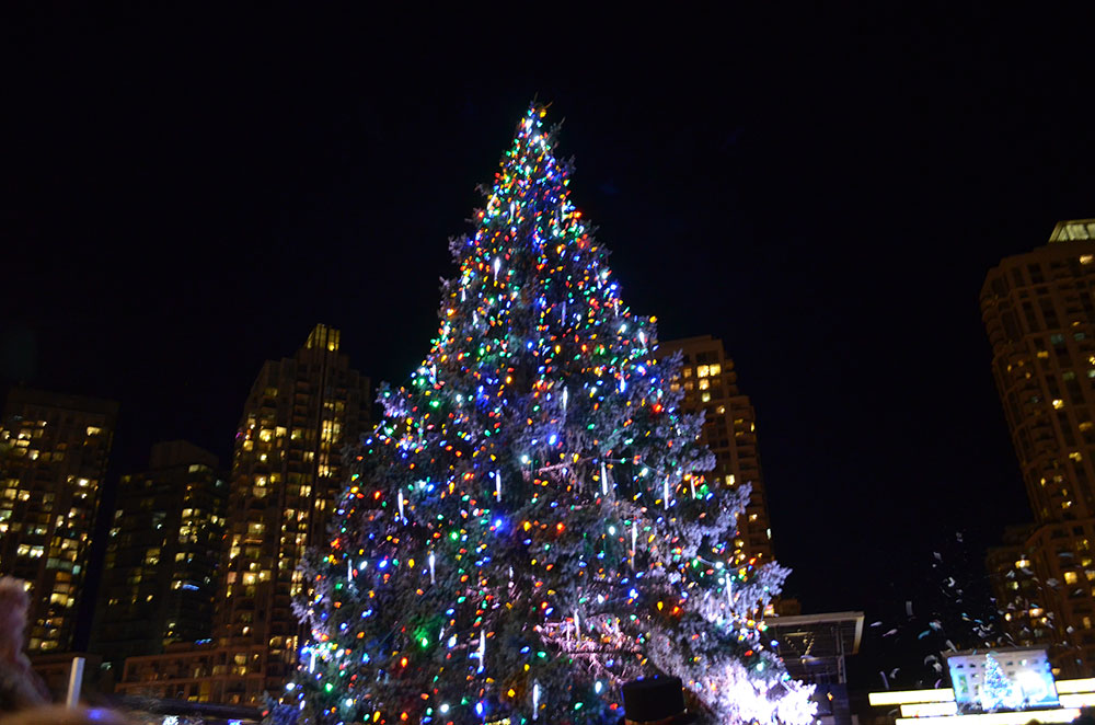 Lighting up at Celebration Square