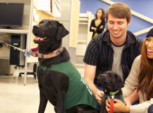 Third-year animation students Cody Forkes and Mara Soriano, both 21, play with 2-year-old Rhiannon (left) and her 10-¬week-old puppy Frito in the animation studio at Sheridan. 