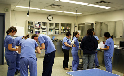 animal care students