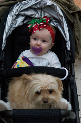Stevie Malvern, 10 months, waits in line with her.  parents Allie and Brad and their five-year-old pom-a-poo Muffin to see Santa  Paws with claus – Shappert1a: Lee and Nancy Young accompany their 1-year-old baby Kaylin and two Rottweilers, Dozer and Willy, 8 and 10, to see Santa.  