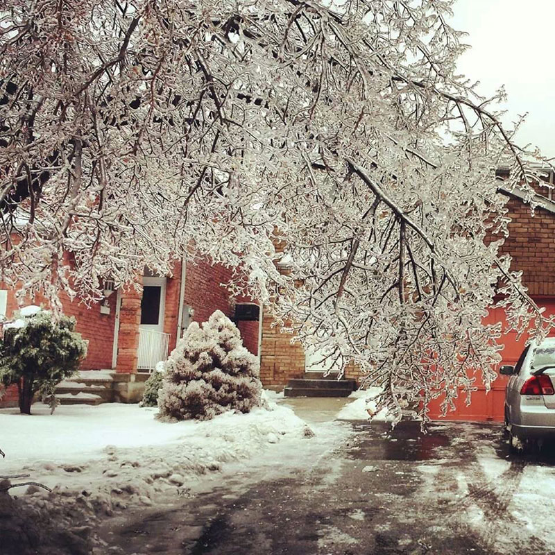 Capturing the “Icepocalypse” in story and image