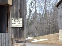 The Maple Syrup Festival at Bronte Creek Provincial Park in Oakville opens every year on the first Saturday of March.  It offers visitors a tour of Maple Lane, where they can learn how to make maple syrup, as well as a walk through the historical farmhouse museum. 