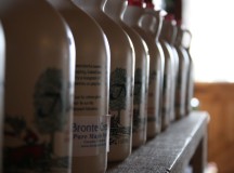 Maple syrup, made and bottled at Bronte Creek, can be purchased at the gift shop located in one of the barns on the property...