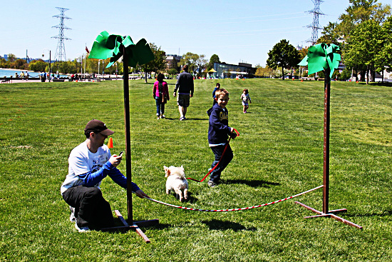 ARFmazing Race held at Spencer Smith Park