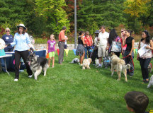 Dogs and their masters gather for the 'Best' contests