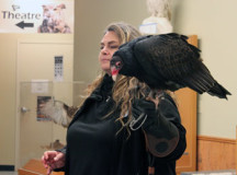 Lara Butt with Buzz the turkey vulture.