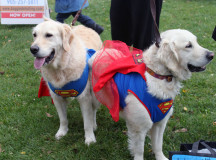 Superman and Superwoman are always looking to bring fun to anyone's day.