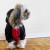 The do’s and don’ts of dressing dogs